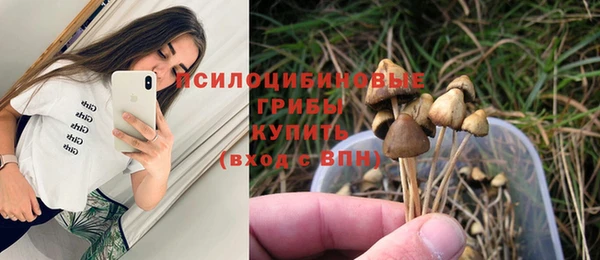 гашик Алексеевка